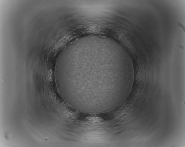 X0000101110689200806261413