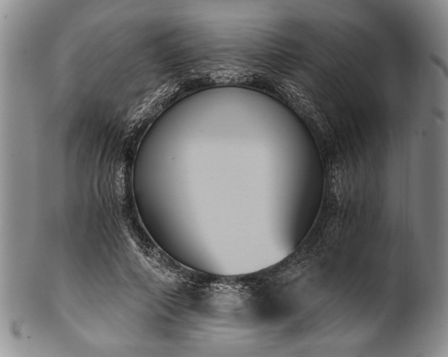 X0000101110690200806261413