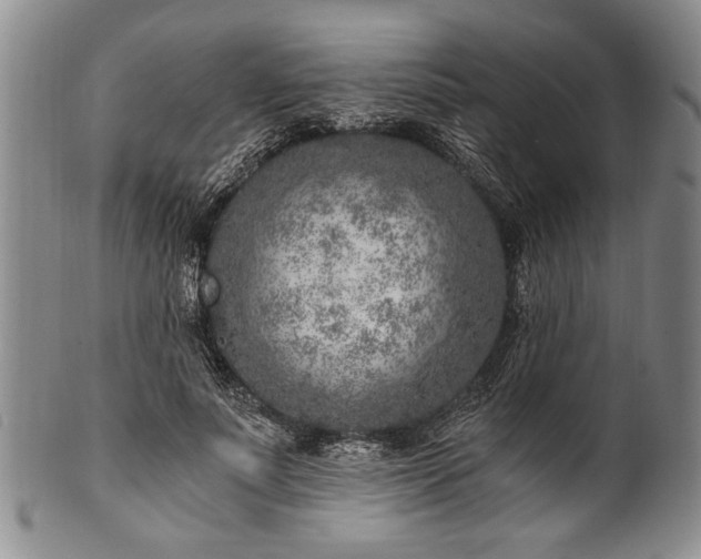 X0000101110691200806261413