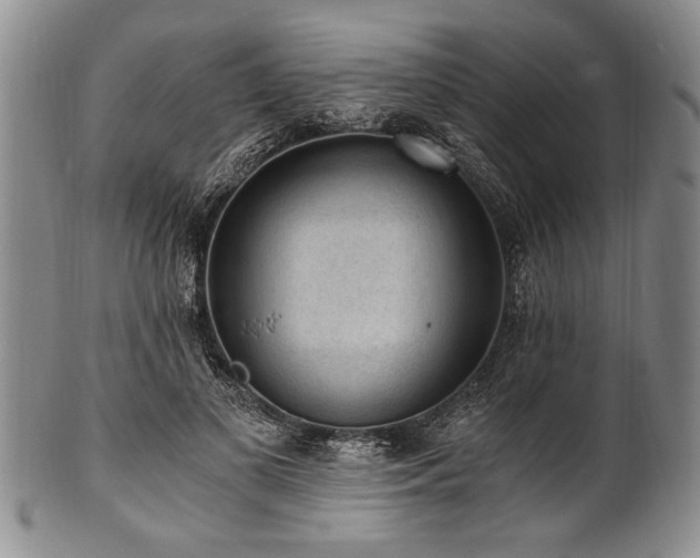X0000101110693200806261413