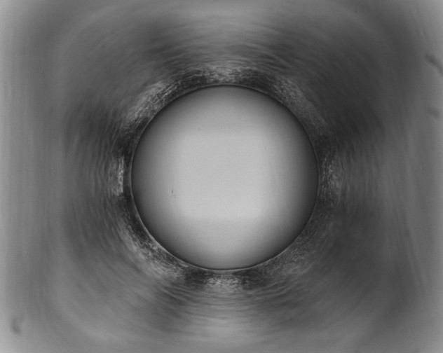 X0000101110694200806261413