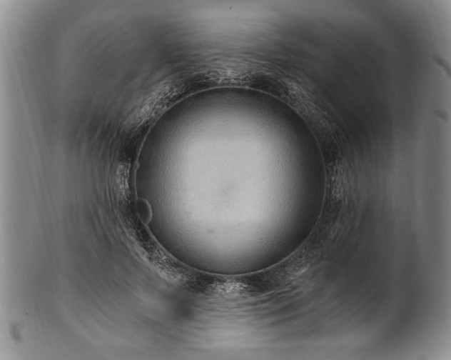 X0000101110695200806261413