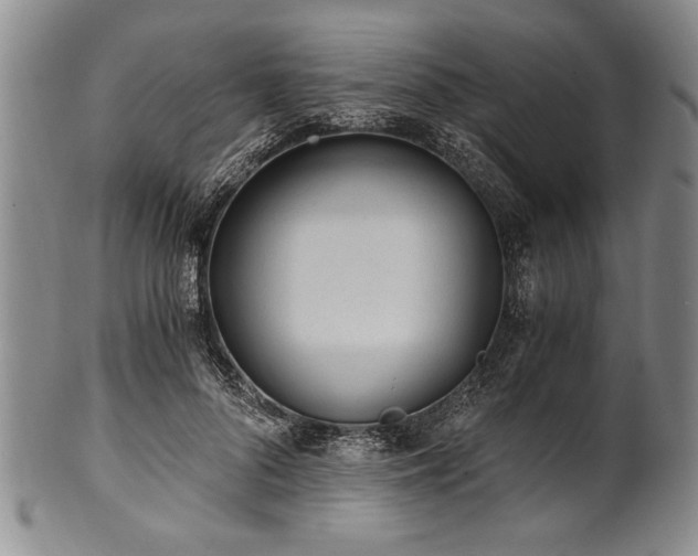 X0000101110696200806261413