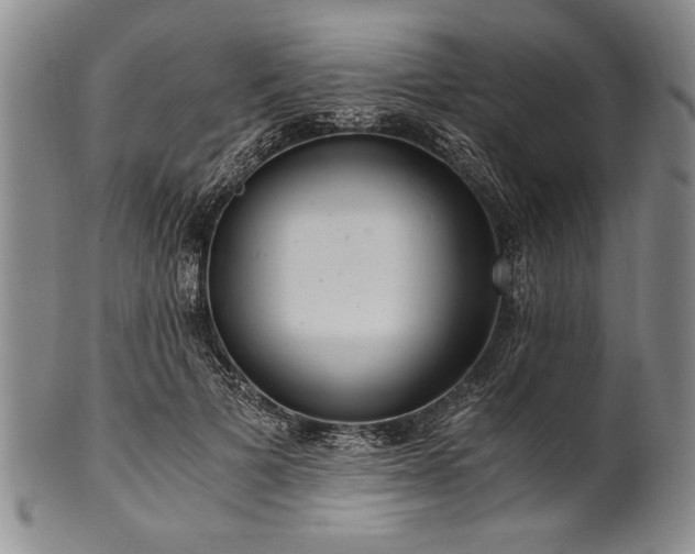 X0000101110697200806261413