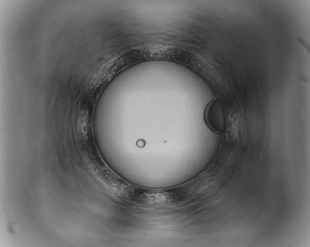 X0000101110698200806261413