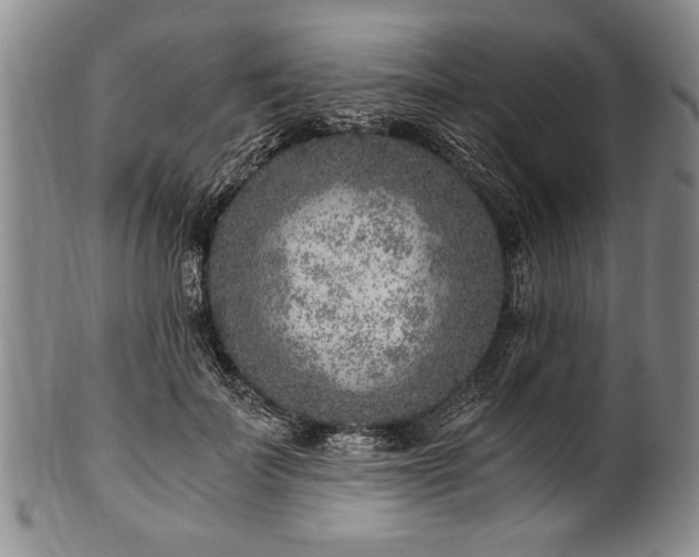 X0000101110699200806261413