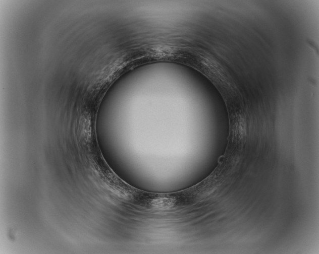 X0000101110700200806261413