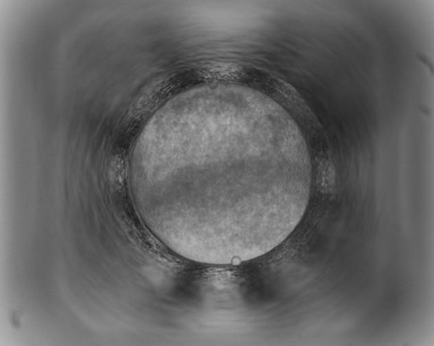 X0000101110701200806261413