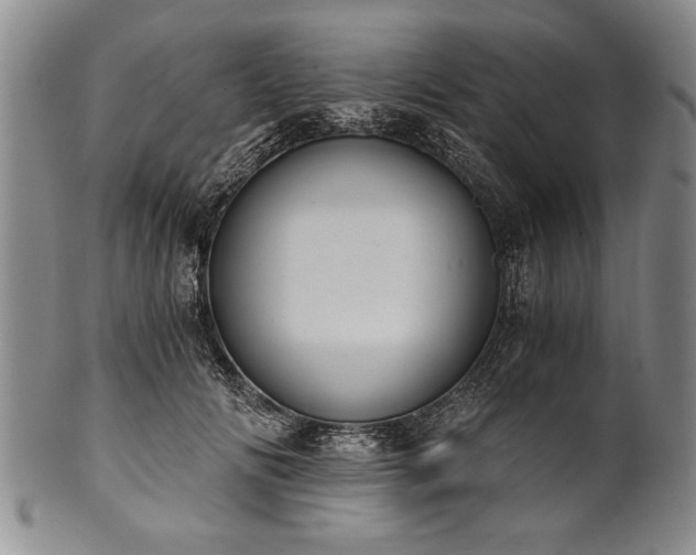 X0000101110702200806261413