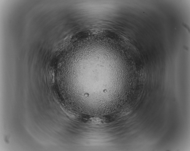 X0000101110703200806261413