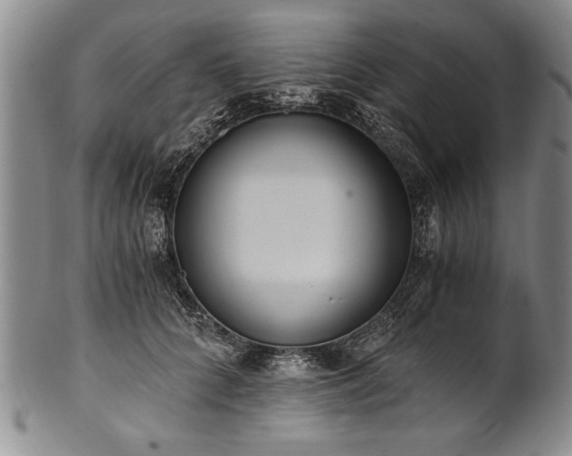 X0000101110704200806261413