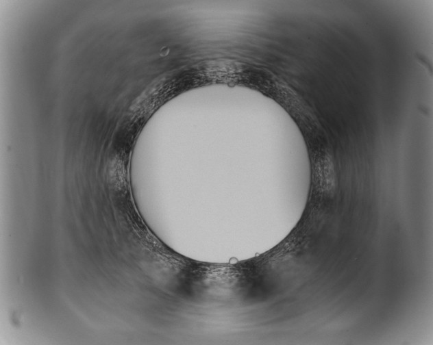 X0000101110705200806261413