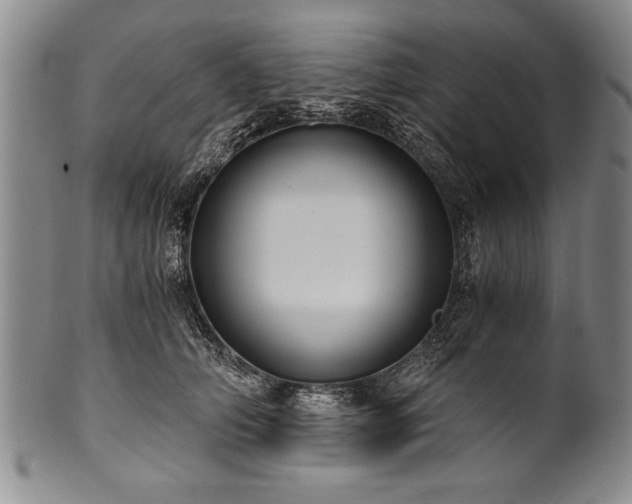 X0000101110706200806261413