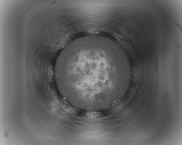 X0000101110707200806261413