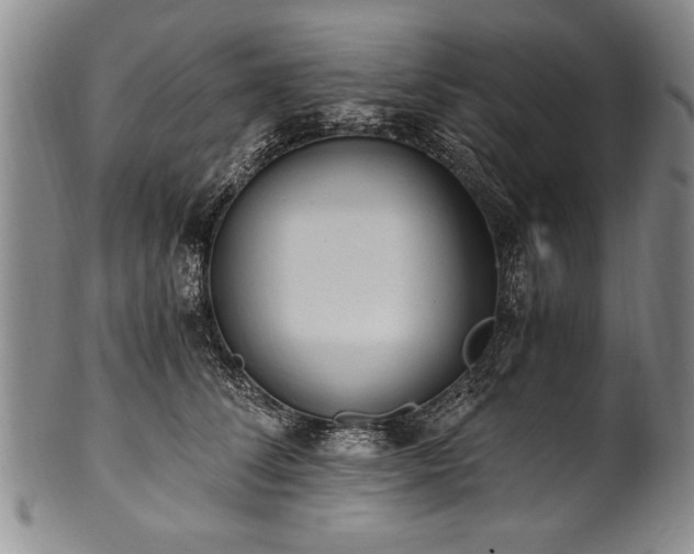 X0000101110708200806261413