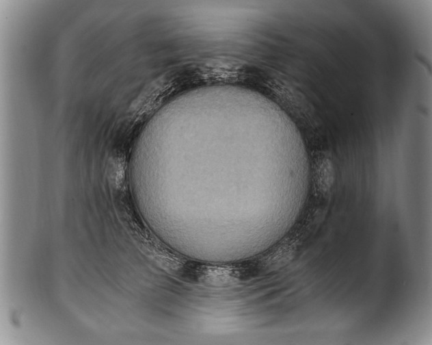 X0000101110709200806261413