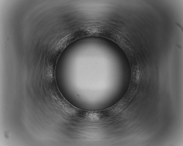 X0000101110710200806261413