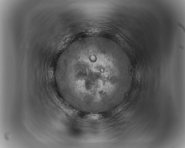 X0000101110711200806261413