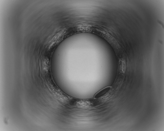 X0000101110712200806261413