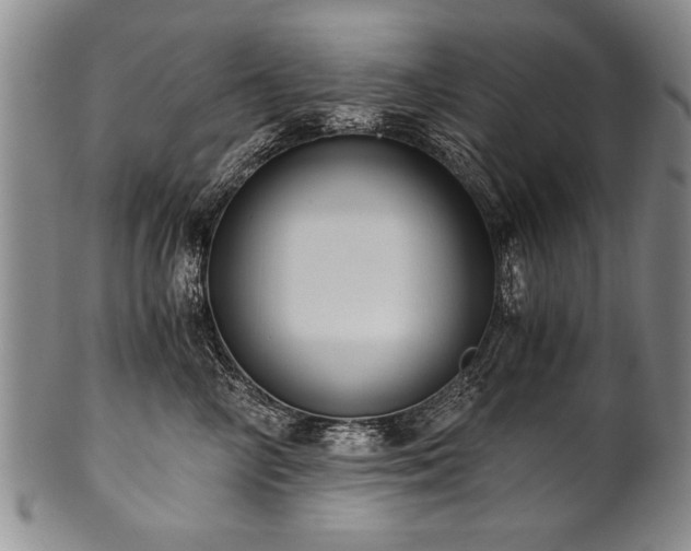 X0000101110714200806261413