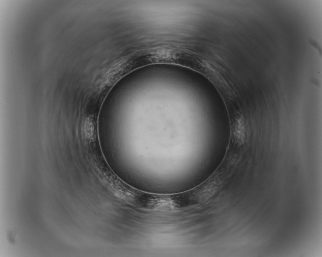 X0000101110715200806261413