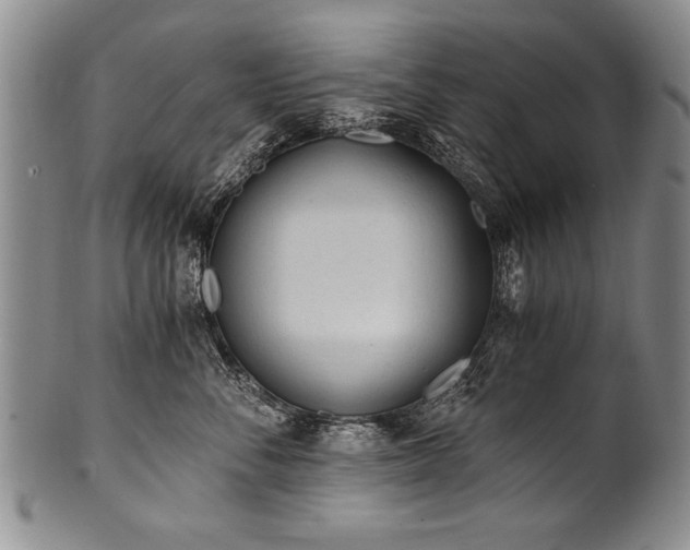 X0000101110716200806261413