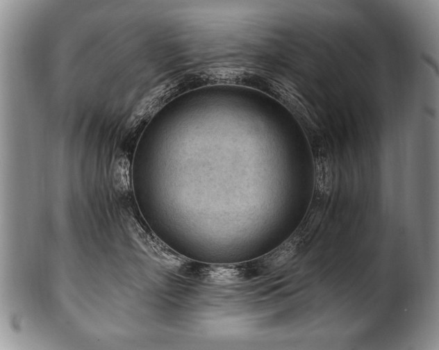 X0000101110718200806261413