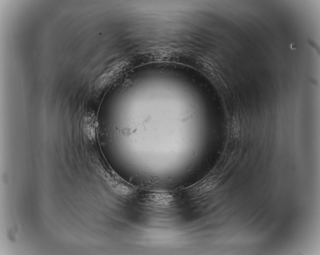 X0000101110719200806261413