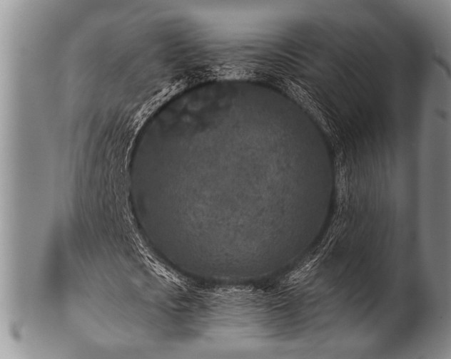 X0000101110721200806261412