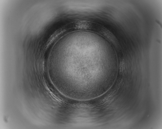 X0000101110722200806261412