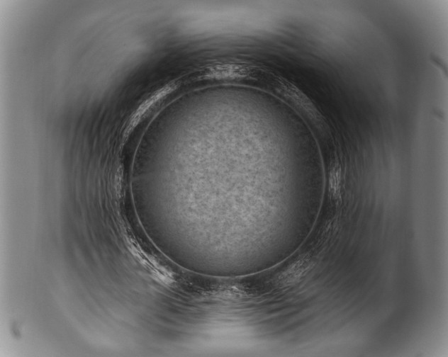 X0000101110724200806261412