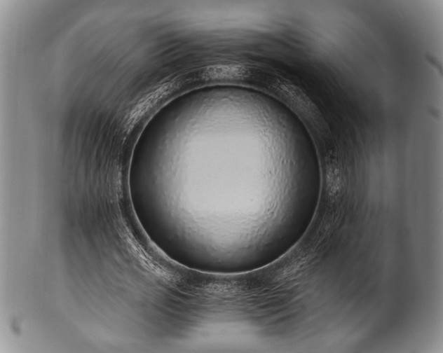 X0000101110725200806261412