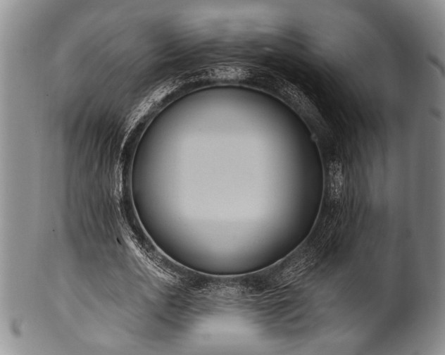X0000101110726200806261412