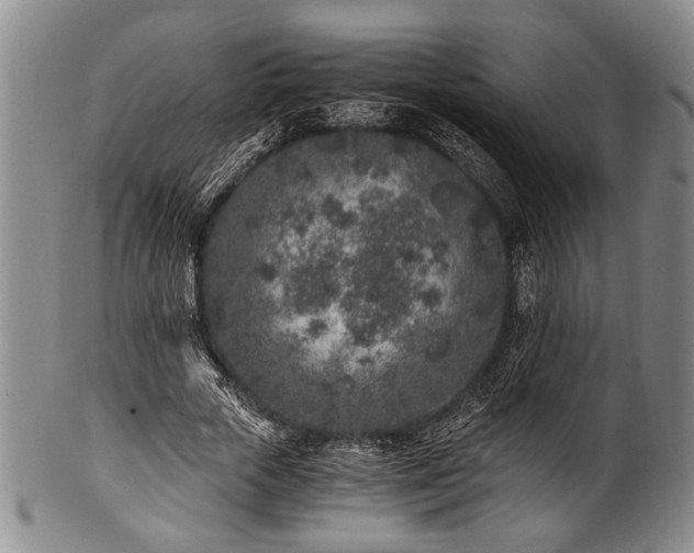 X0000101110729200806261412