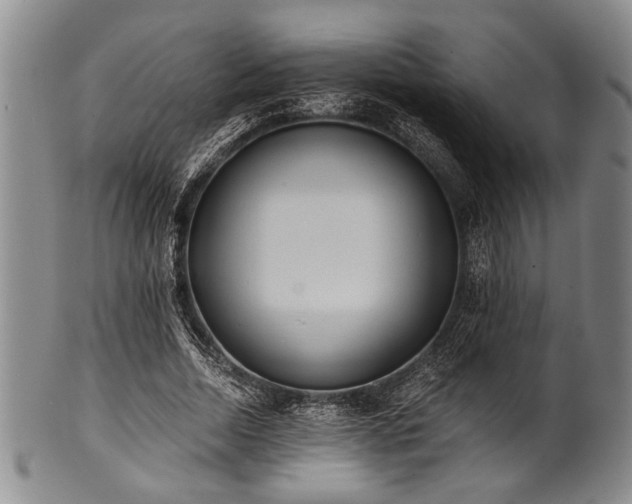 X0000101110730200806261412