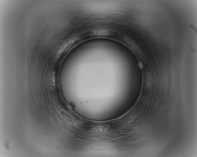 X0000101110731200806261412