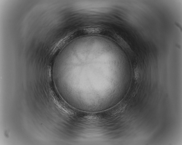 X0000101110733200806261412