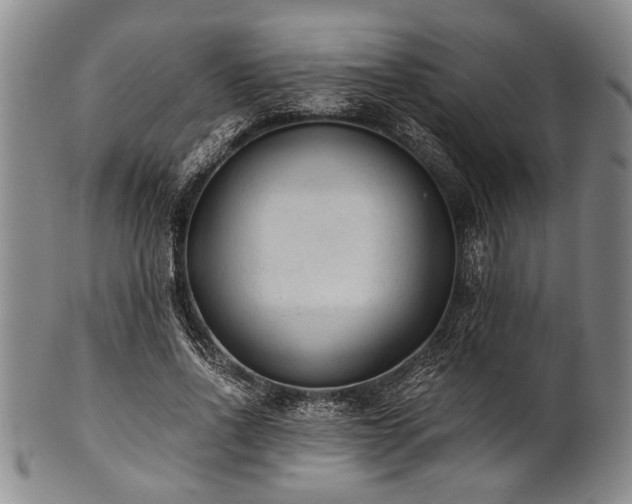 X0000101110734200806261412