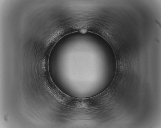 X0000101110735200806261412
