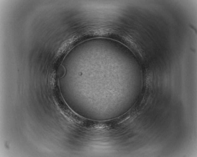 X0000101110736200806261412