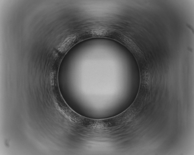 X0000101110738200806261412