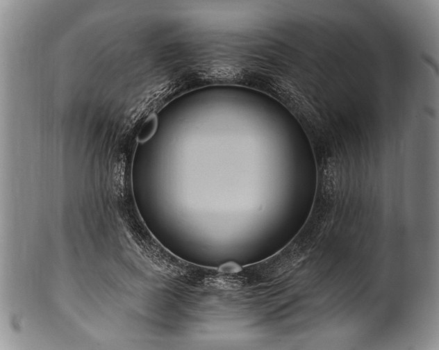 X0000101110739200806261412