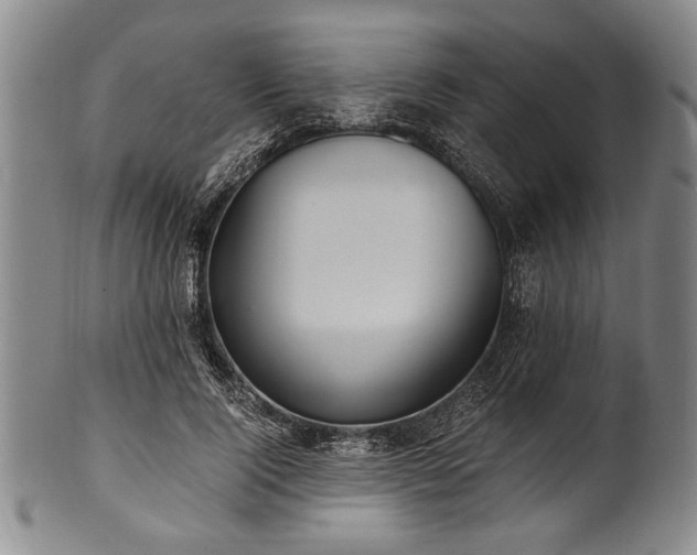 X0000101110740200806261412