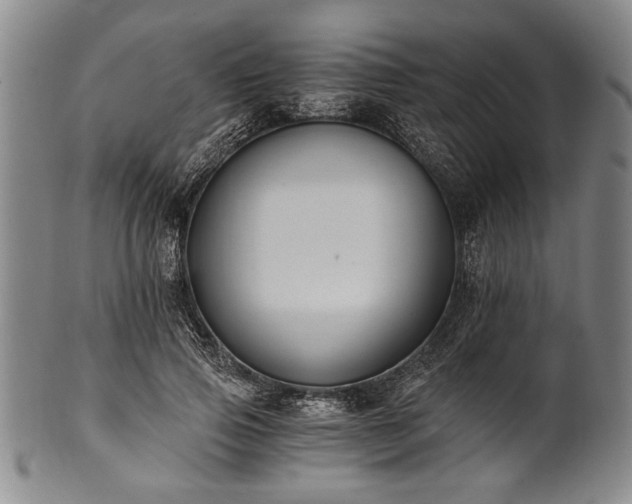 X0000101110741200806261412