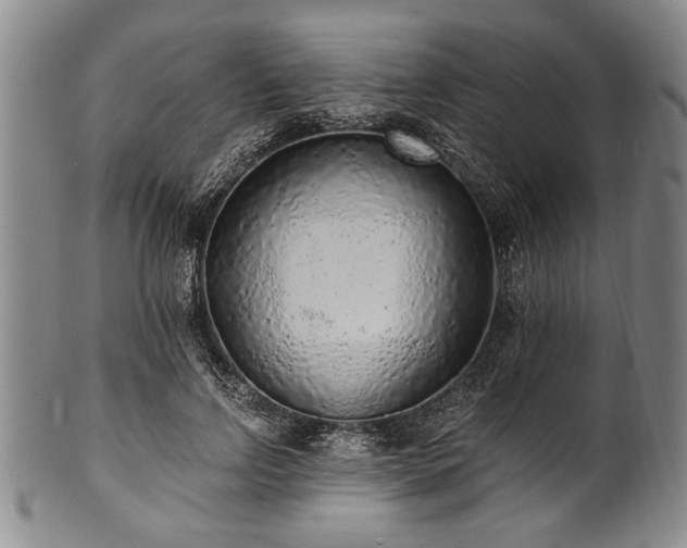 X0000101110742200806261412