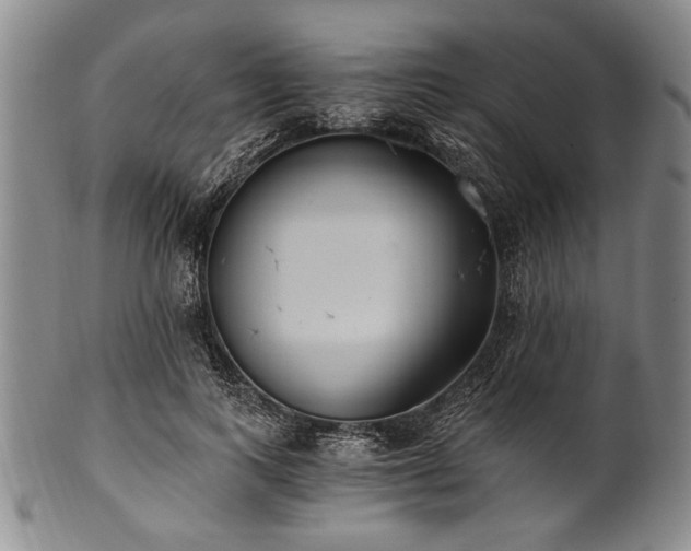 X0000101110743200806261412