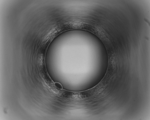 X0000101110744200806261412