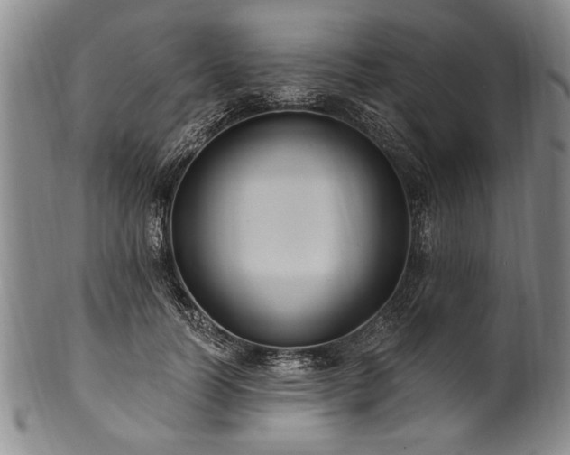 X0000101110746200806261412