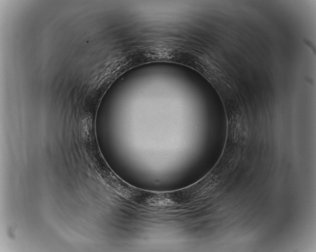 X0000101110747200806261412