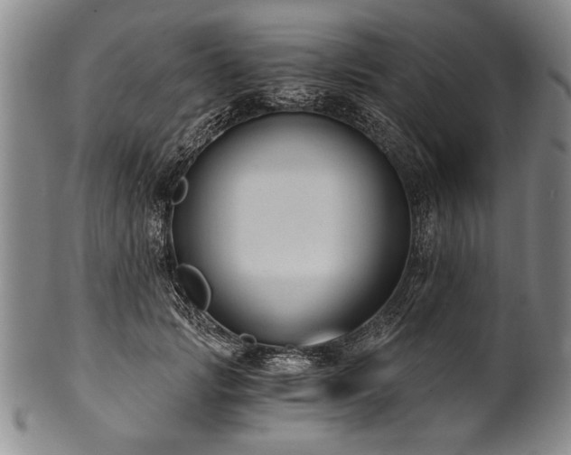 X0000101110749200806261412